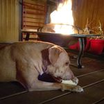 Marc Ferris - @mrnuckinfutz - Instagram