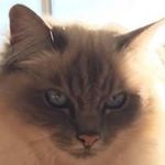 Marc Ferris - @marc.ferris.56 - Instagram