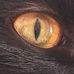 Marc Ferris - Facebook