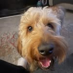 Marc - @marcflanagan06 - Instagram