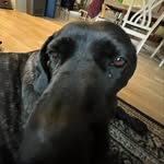 Marcus Flastermann - @marcus.flastermann - Instagram