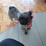 Marc Fleury - @marcfleury08 - Instagram