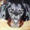 Marc Fleury - @marc.fleury3 - TikTok