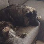 Marc Flint - @marcrflint - Instagram