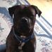 Mark Flint - Facebook