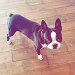 Marc Florez - @florez.marc - Instagram