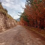 Marc Flórez - @marc_.florez - Instagram