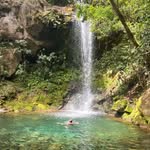 Marc Foisy - @marc.foisy - Instagram