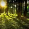 Marcin Forrest87 - @marcin.forrest87 - TikTok