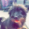 MarcyForrest - @marcyforrest - TikTok
