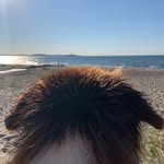 Marc Förster - @marcf.68 - Instagram