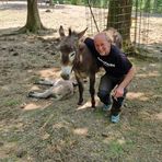 Marc Franssen - Facebook