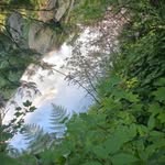 Marc Franssen - @franssen2729 - Instagram