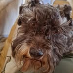 Marc Fredrick - @marc.fredrick.96 - Instagram