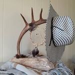 Marc Garneau - @marc.garneau.980 - Instagram