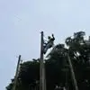 Marc Garza - @marc.garza - TikTok