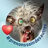 Marc Gendron423 - @marcgendron1973 - TikTok