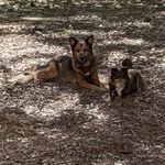 Marc Gendron - @marc.gendron.7503314 - Instagram