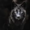 marcgerkens - @marcgerkens - TikTok