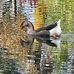 Marc Glaser - Facebook