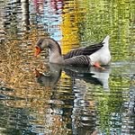 Marc Glaser - @marcglaser6 - Instagram