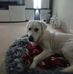 Marcel Goldschmidt - Facebook