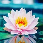 Marc gomes - @marcgomes51 - Instagram