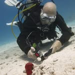 Marc De Wispelaere - @marcgoodbuddy - Instagram