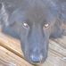 Marc Grisar - Facebook