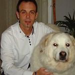 Marc Grisard - @marcgrisard - Instagram