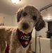 Marc Guindon - Facebook