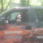 Marc Guindon - @servpro_of_guelph - Instagram