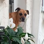 Marc Guy Michel Cresson - @marcccresson - Instagram