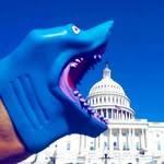 Marc Hancock - @grattitudeshark - Instagram