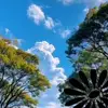 marc hand - @marc.hand0 - TikTok