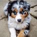 Marc Hay - Facebook