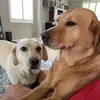 ericavi8or - @marchaynes83 - TikTok