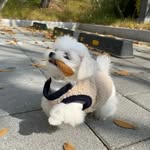 marchealyong - @marchealyong - Instagram