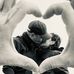 Marc Henkel - Facebook
