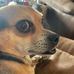 Marci Henkel - Facebook