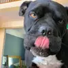 Marcus Herbert - @marcusherbert76 - TikTok