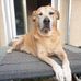 Marc Herbst - Facebook