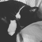 Marcel - @marcel.herlinghausen - Instagram