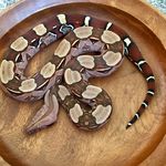 Marco Herling - @marco.herling - Instagram
