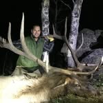 Marc Herold - @mherold.87 - Instagram
