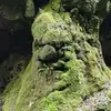 Marc Hofmann - @marc.hofmann2 - TikTok