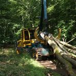 Marc Fuhr - rund um's Holz - Facebook