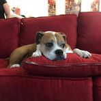 Marc Holz - Facebook