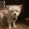 Marc Hubert - @marc.hubert8 - TikTok