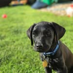 Marc Hudson - @marc.hudson1976 - Instagram
